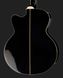 Harley Benton B-30BK-FL Acoustic Bass Series 476021 фото 5