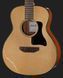 Акустична гітара Harley Benton GS-Travel Spruce 382556 фото 4