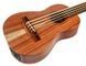 Бас-укулеле Thomann Ukulele Bass Standard 391845 фото 4