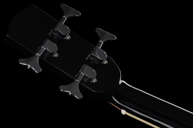Акустична бас-гітара Harley Benton B-30BK-FL Acoustic Bass Series 476021 фото