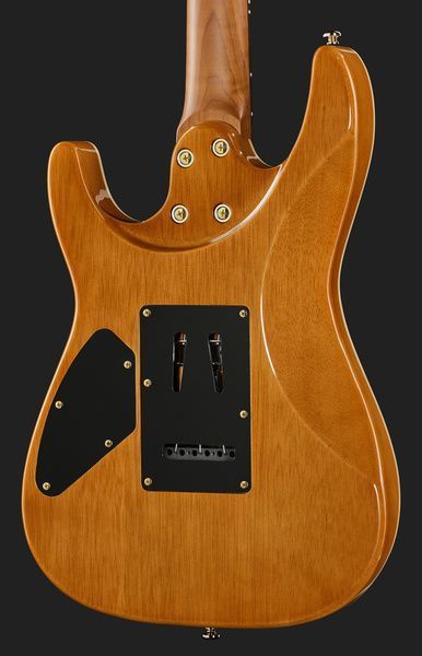 Harley Benton Fusion-IV HH RW PM 618114 фото