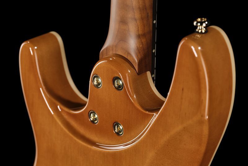Harley Benton Fusion-IV HH RW PM 618114 фото