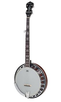 Harley Benton BJ-55Pro 5 String Banjo 345288 фото