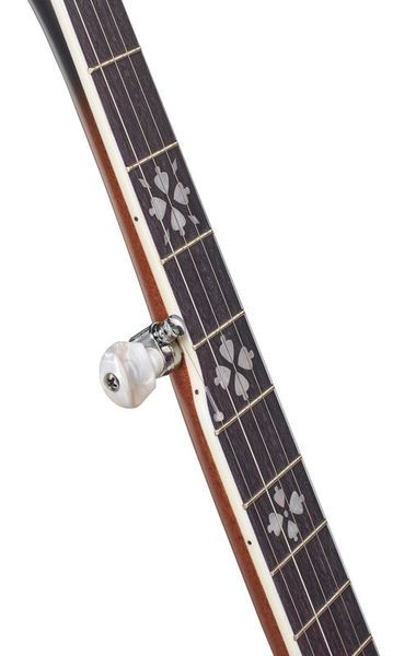 Harley Benton BJ-55Pro 5 String Banjo 345288 фото