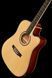 Акустична гітара Harley Benton D-120CE NT Bundle (комплект) 543850 фото 11