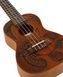Укулеле Harley Benton Hawaii Dolphin Tattoo Concert 592995 фото 6