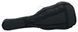 Harley Benton C-Guitar 4/4 Accessory Pack 526339 фото 6