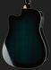 Harley Benton D-120CE TB 456138 фото 5