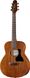 Harley Benton GS-Travel-E Mahogany 410797 фото 1