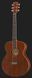 Акустична гітара Harley Benton Blues Guitar Set 2 (комплект) 274631 фото 2