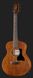 Harley Benton GS-Travel-E Mahogany 410797 фото 2