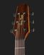 Harley Benton GS-Travel-E Mahogany 410797 фото 6