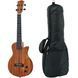 Электроукулеле Harley Benton Solid Uke Natural w/Bag (комплект) 540615 фото 1