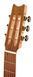 Класична акустична гітара Thomann Lute Guitar 228892 фото 9