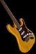 Harley Benton ST-90SA Swamp Ash DLX S Bundle 581212 фото 10
