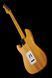 Harley Benton ST-90SA Swamp Ash DLX S Bundle 581212 фото 11