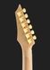 Thomann Guitar Set G41 160303 фото 7