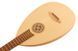 Класична акустична гітара Thomann Lute Guitar 228892 фото 5