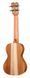 Укулеле Thomann Concert Ukulele Standard 391837 фото 2
