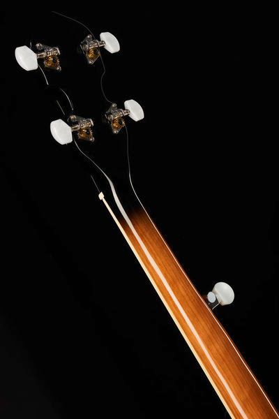 Harley Benton BJO-35Pro 5 String Banjo OB 345287 фото