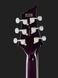 Harley Benton CST-24 Purple Burst 527044 фото 7