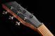 Електрогітара Harley Benton Aeolus Frost Flame 496344 фото 15