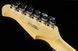 Harley Benton Fusion-III HH EB OCT 521279 фото 16
