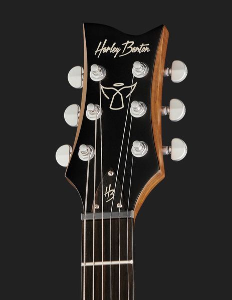 Harley Benton Agufish STD Signature BK 575587 фото