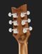 Harley Benton Agufish STD Signature BK 575587 фото 7