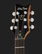 Harley Benton Agufish STD Signature BK 575587 фото 6