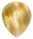 Harley Benton Woodstone Landscape Jasper 590934 фото 3