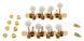 Harley Benton Parts Mandolin Key Set Gold 338206 фото 6