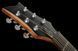 Harley Benton Agufish STD Signature BK 575587 фото 15