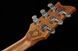 Harley Benton Agufish STD Signature BK 575587 фото 16