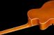 Harley Benton BigTone Trem Vintage Orange 349018 фото 9