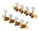 Harley Benton Parts Mandolin Key Set Gold 338206 фото 1