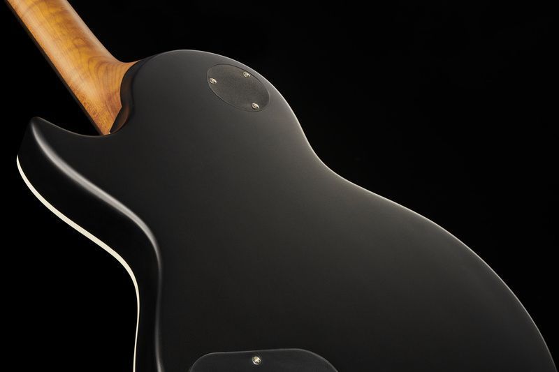 Harley Benton Agufish STD Signature BK 575587 фото