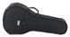 Harley Benton BJU-15Pro Banjo Ukulele w/Bag 538313 фото 11