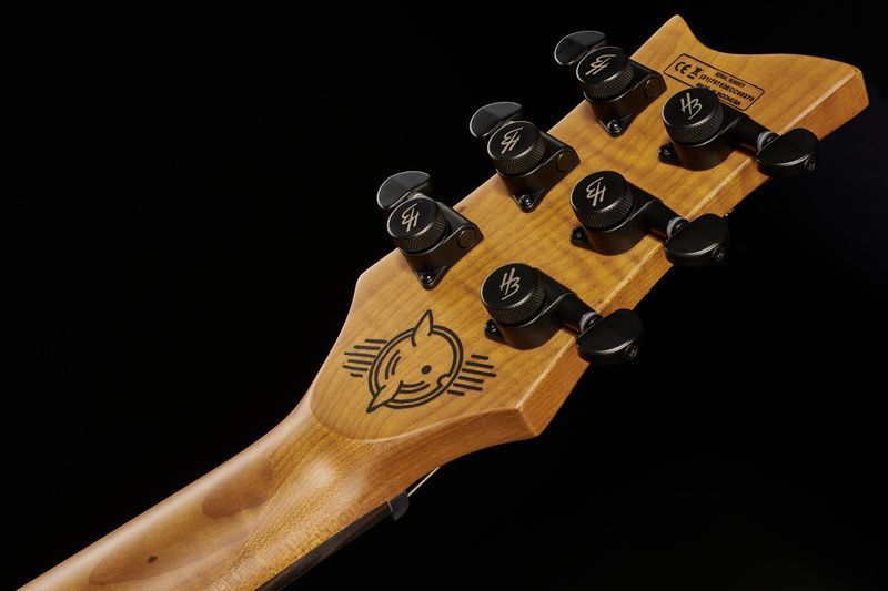 Harley Benton Agufish STD Signature SFG 563378 фото