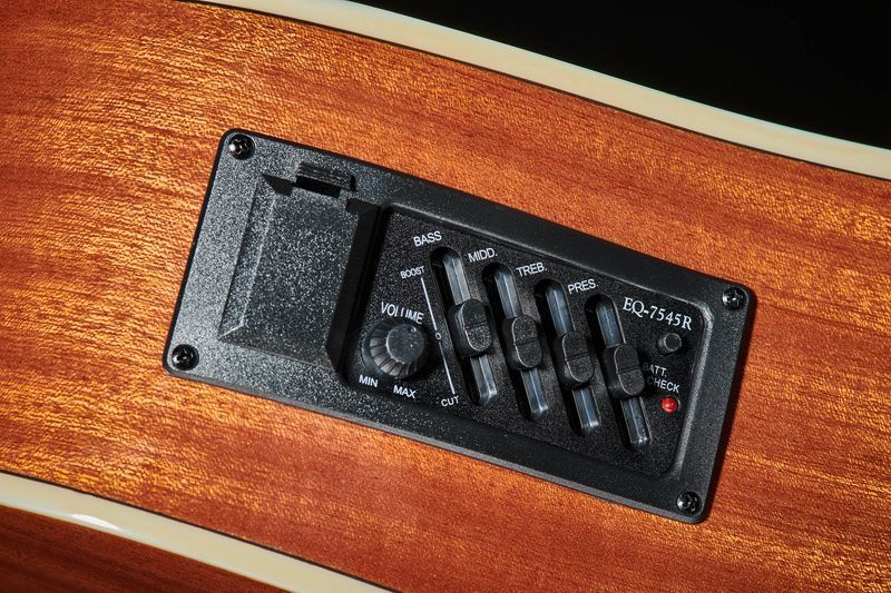 Акустична гітара Harley Benton D-120CE VS Bundle (комплект) 543854 фото