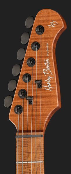 Harley Benton Fusion-IV HSH MN WM 618056 фото