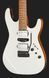 Harley Benton Fusion-IV HSH MN WM 618056 фото 4