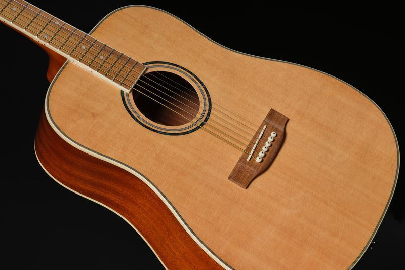 Harley Benton D-120NT 152025 фото