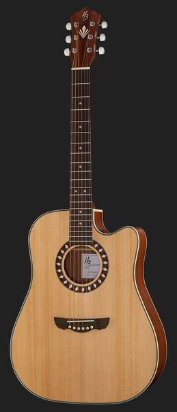 Harley Benton Custom Line CLD-1048SCE w/Case 568268 фото