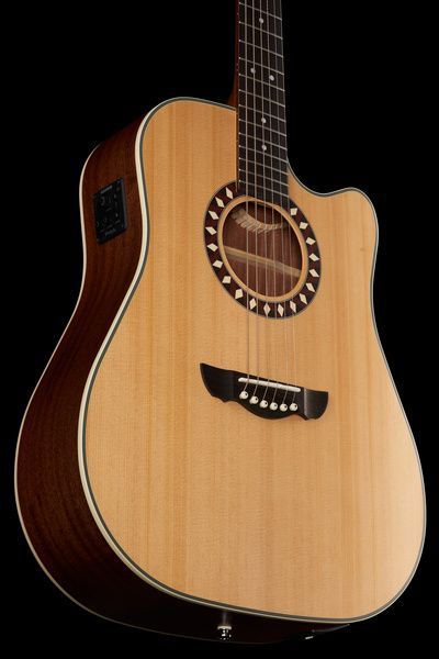Harley Benton Custom Line CLD-1048SCE w/Case 568268 фото