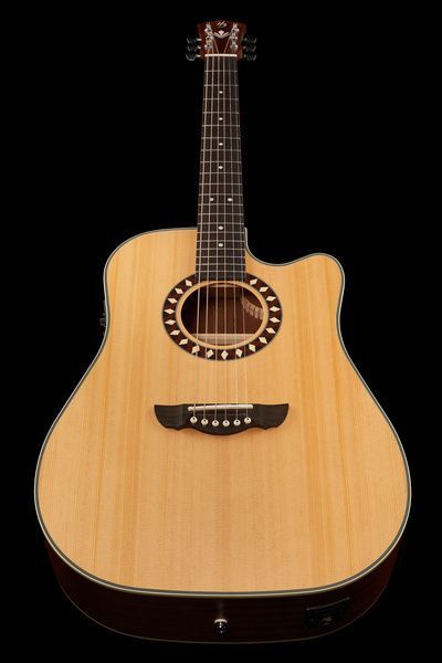 Harley Benton Custom Line CLD-1048SCE w/Case 568268 фото
