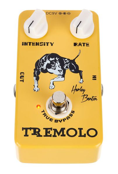 Harley Benton Vintage Tremolo 256812 фото