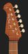 Harley Benton Fusion-IV HSH LH MN FBB 618266 фото 7