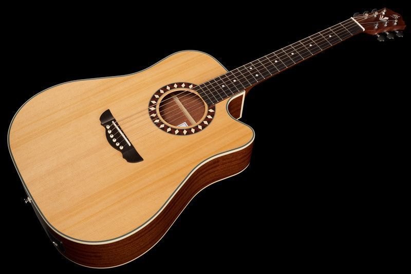 Harley Benton Custom Line CLD-1048SCE w/Case 568268 фото