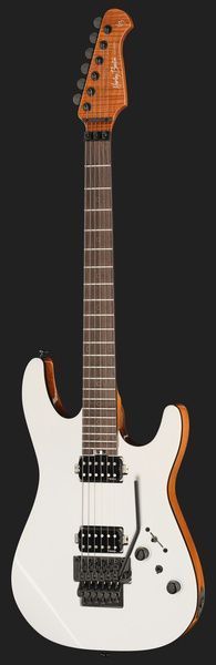 Harley Benton Fusion-IV HH RW FR WM 618126 фото